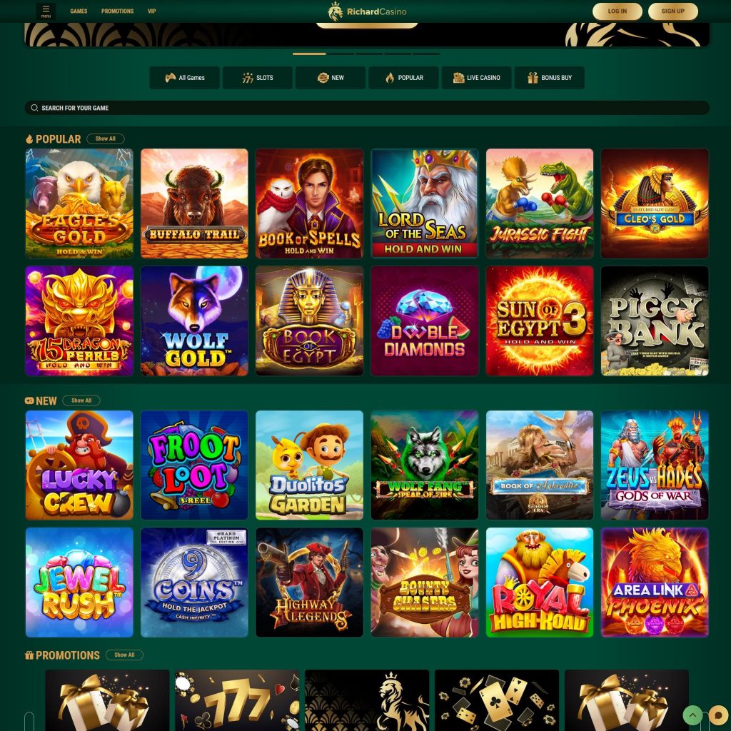 Rich Casino Login Interface on Desktop and Mobile